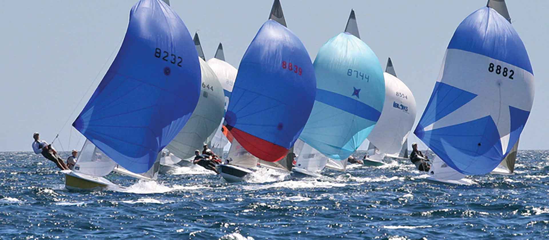 Senior Sailing Brighton Seacliff Yacht Club